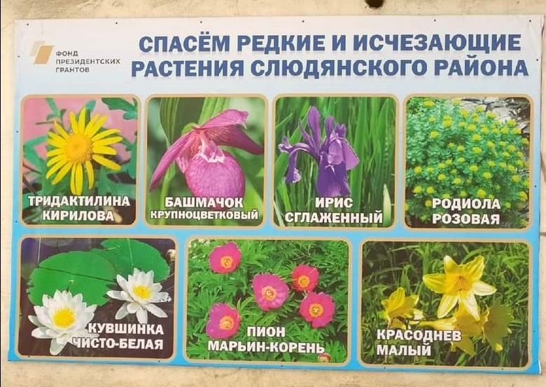 C:\Users\admin\AppData\Local\Microsoft\Windows\INetCache\Content.Word\Плакат КК Слюдянка.jpeg